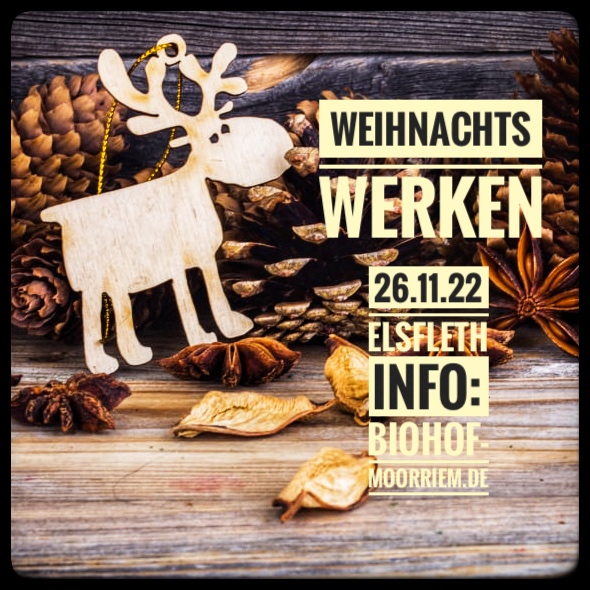 Weihnachts-Werken für Kinder